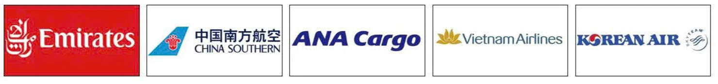 he-thong-doi-tac-voi-cac-hang-hang-khong-lon-cua-kvn